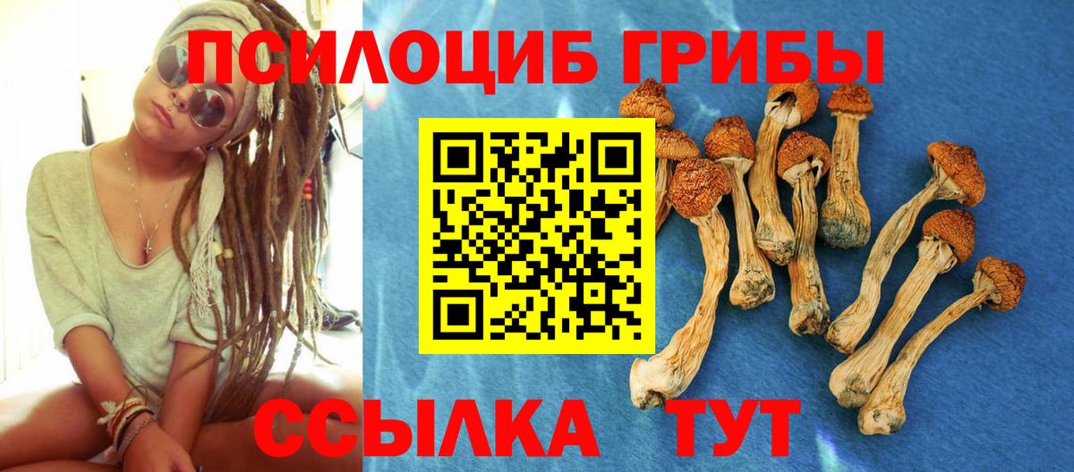 Псилоцибиновые грибы Psilocybine cubensis  Вход с VPN  наркотики  Ухта 